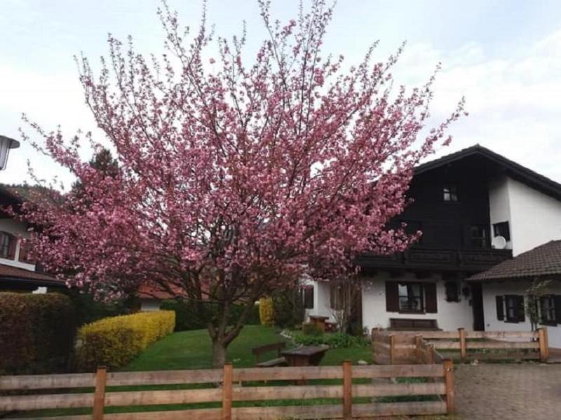 Apartamento Gipfelblick Am Woessenerbach Unterwössen Exterior foto